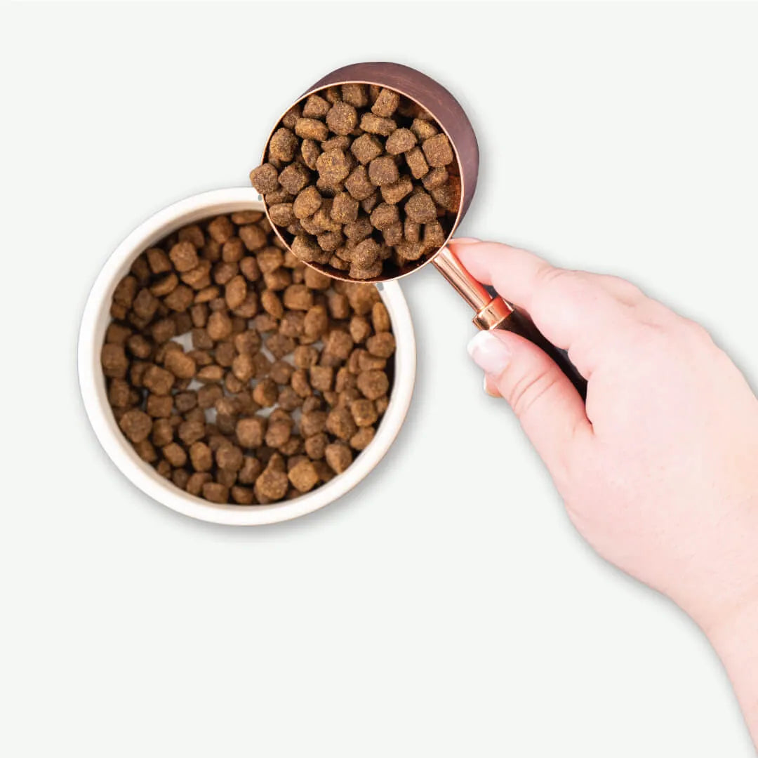 Earthborn Dry Dog Food - Coastal Catch