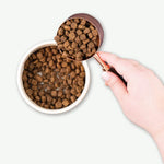 Earthborn Dry Dog Food - Coastal Catch Thumbnail