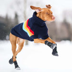 Elasto Fit Dog Boots Thumbnail