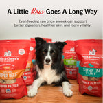 Stella & Chewy's Freeze-Dried Dog Food - Pork - 14oz Thumbnail