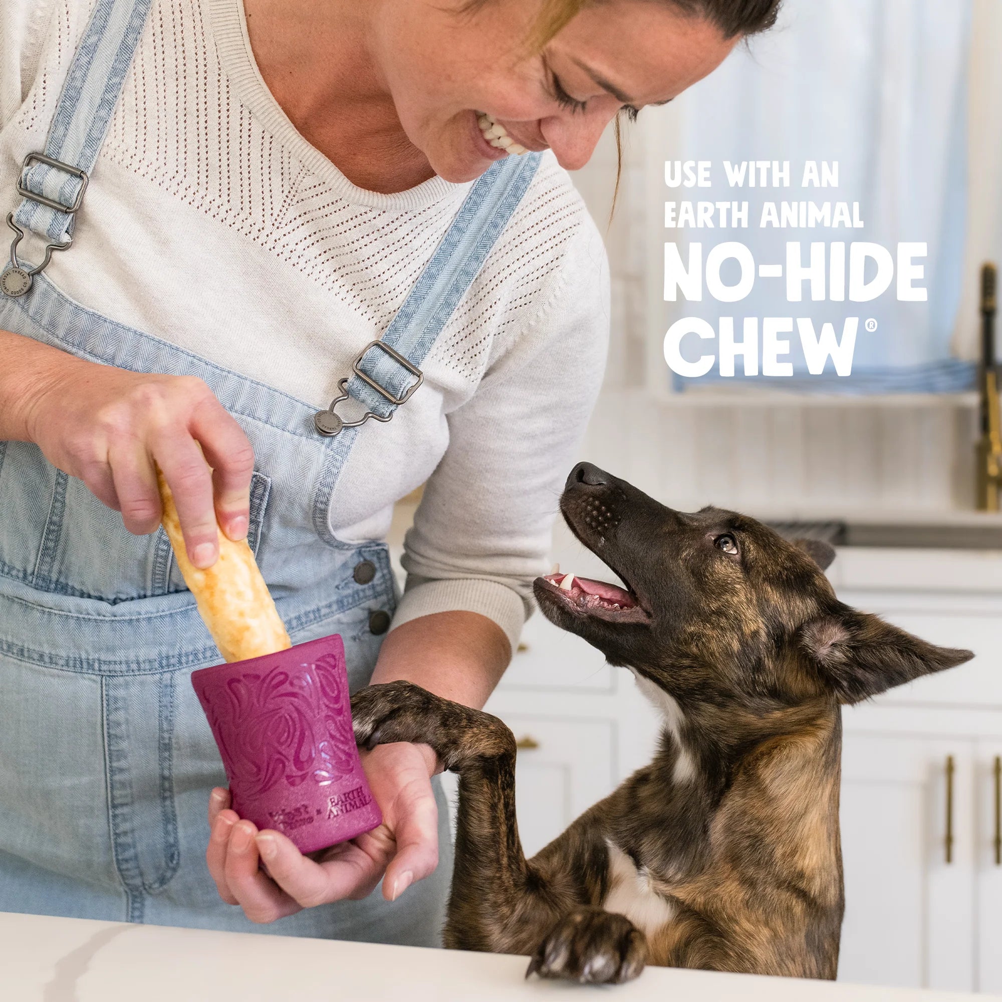Dog Treat Toy - Earth Animal Funnl