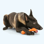 Dog Chew Toy - Hurley Thumbnail