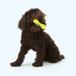 Dog Chew Toy - Hurley Thumbnail