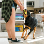 Dog Chew Toy - Hurley Thumbnail
