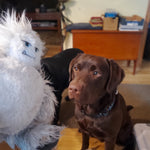 Stuffed Dog Toy - Bettie the Yeti Thumbnail