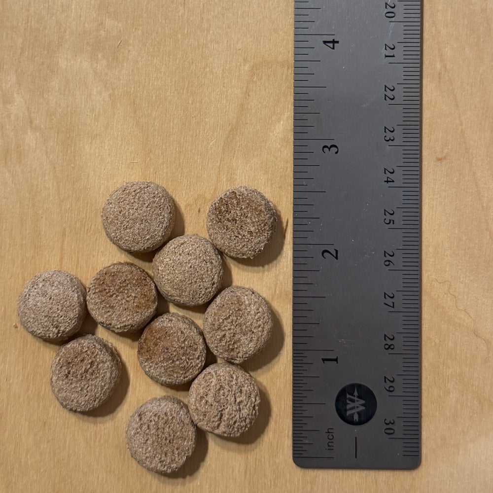 A close-up view of eleven small, round, textured dog treats sitting on a wooden surface next to a metal ruler, showing that each biscuit is approximately half an inch to three-quarters of an inch in diameter.