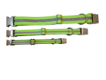 Lime Green Reflective Dog Collar Thumbnail