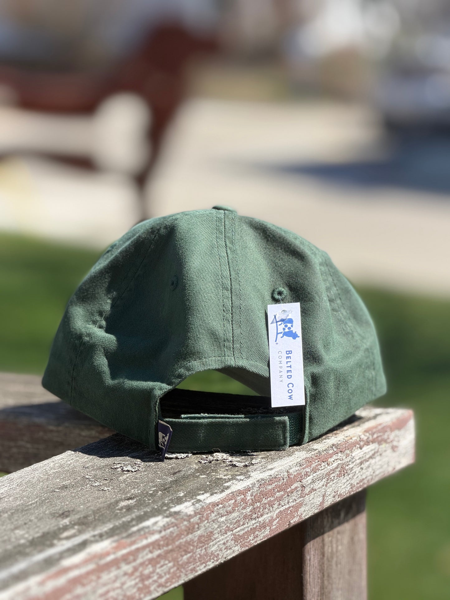 Back of Forest green Boothbay Harbor Dog Treats dad hat.