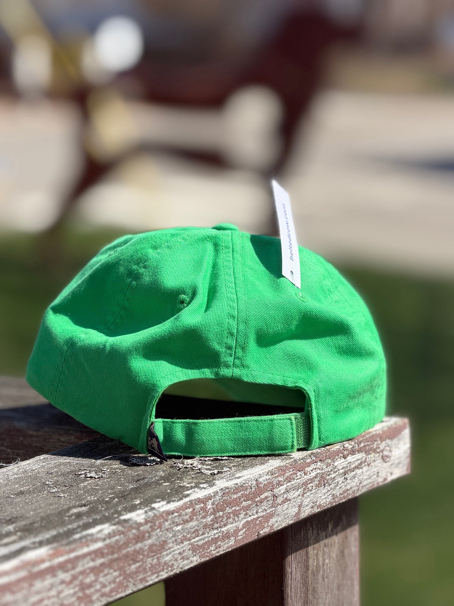 Back of the Kelly green Boothbay Harbor Dog Treats dad hat.