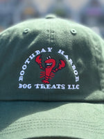 Close up of Forest green Boothbay Harbor Dog Treats dad hat. Thumbnail