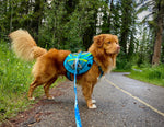 Dog Backpack – Blue / Green Thumbnail