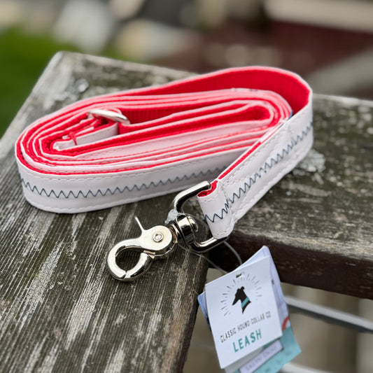 Coiled 1-inch white sailcloth dog leash showing heavy-duty blue zigzag stitching and red quick-drying nylon backing, featuring a rust-proof swivel snap hook.