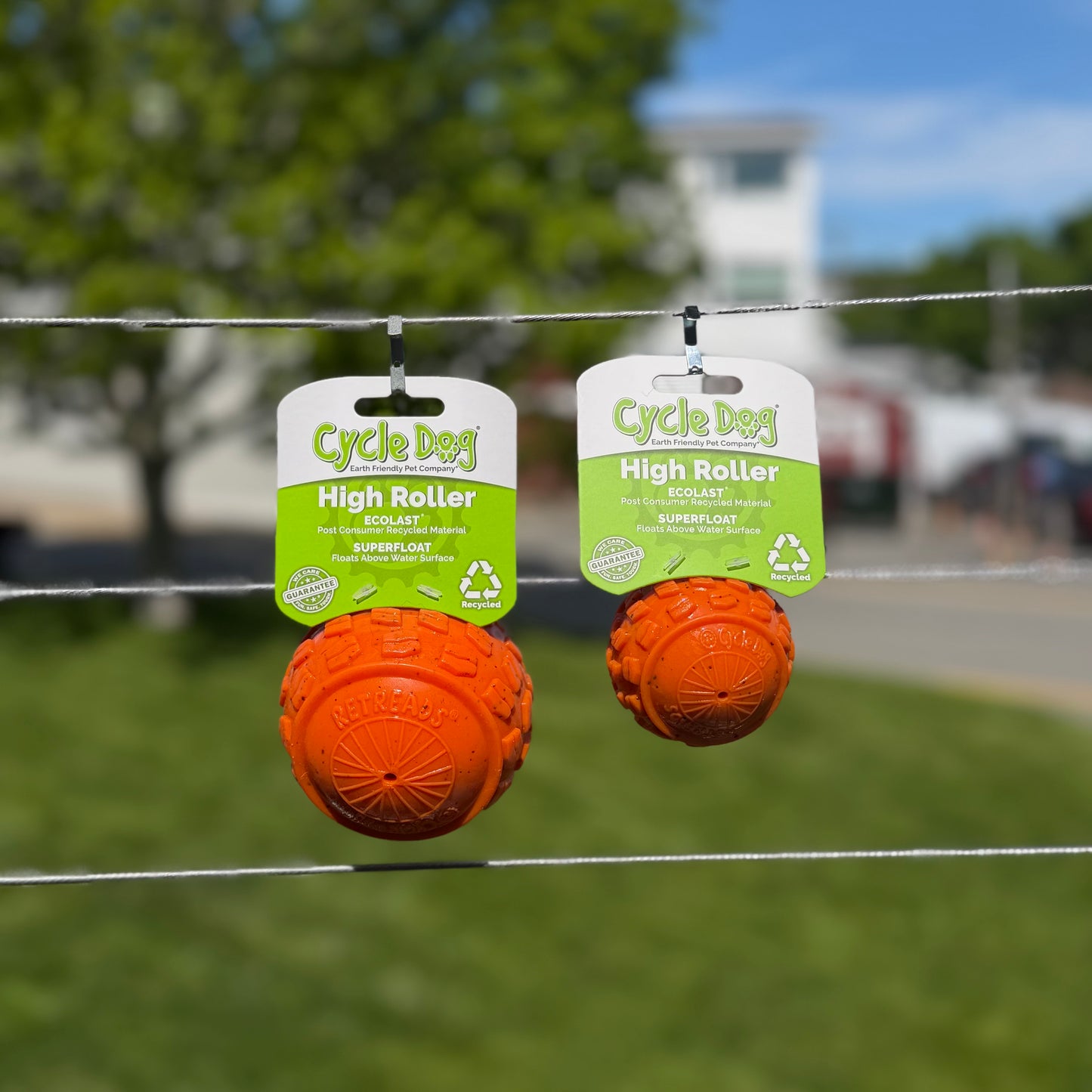 Cycle Dog - High Roller Dog Ball - 2 sizes