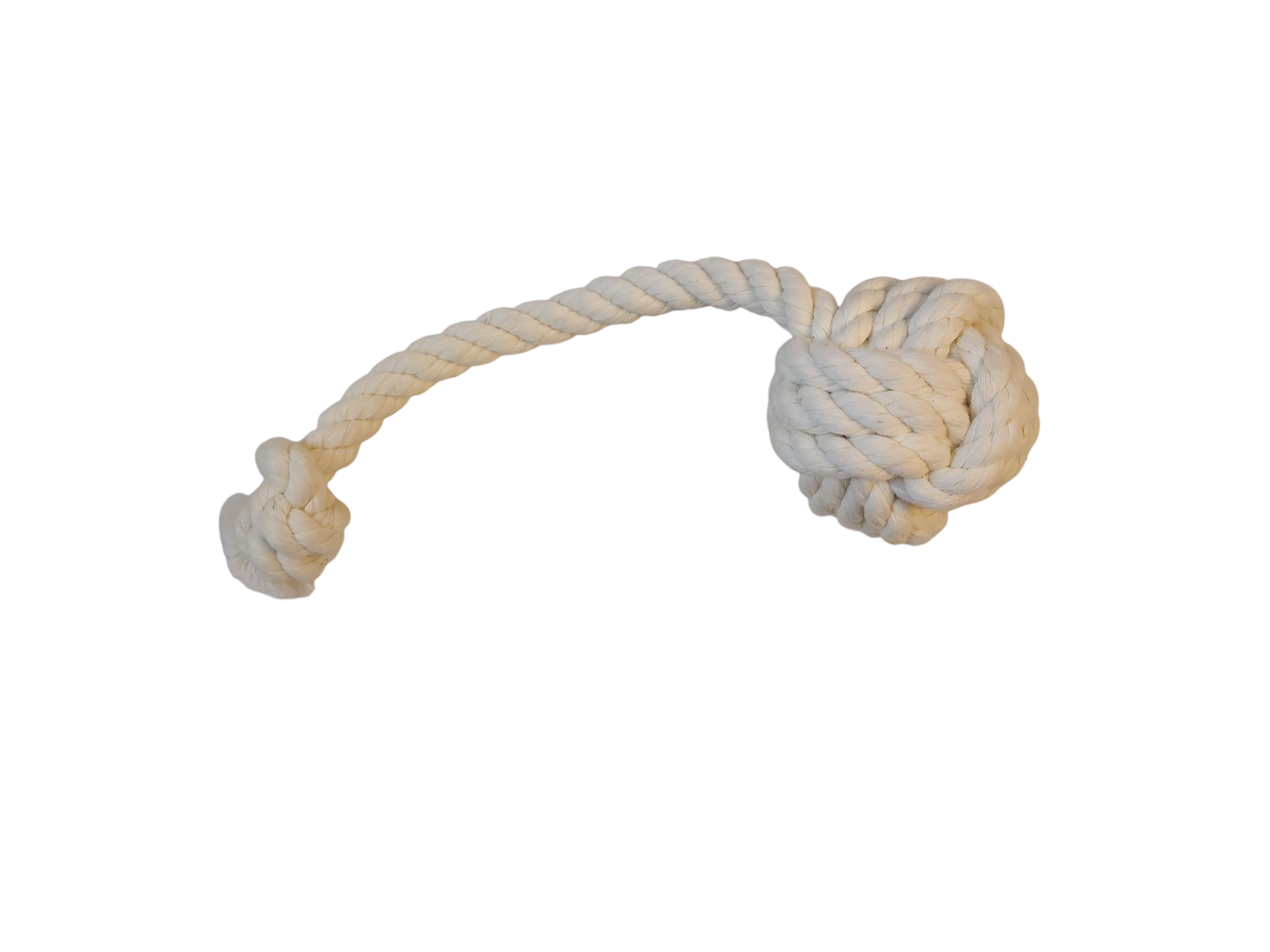 Dog Tug Toy - Lobster Line