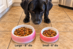 Unique Non-Slip Ceramic Dog Bowls - Porcelain - Red/White - 2 Sizes Thumbnail