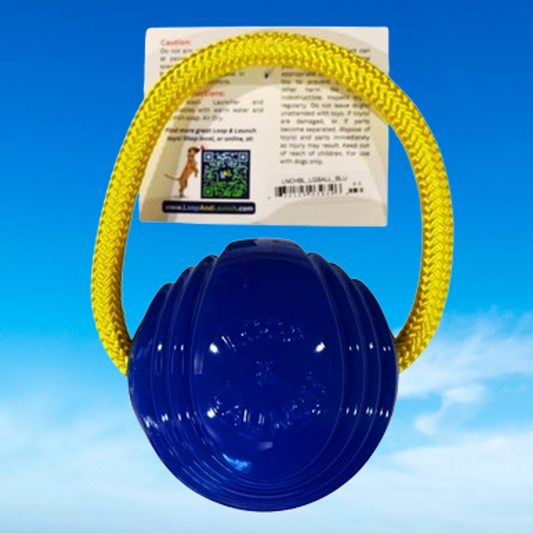 Dog Fetch Toy - Loop & Launch Ball - Large - Blue