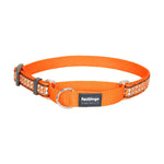 20mm Martingale Dog Collar - Medium Thumbnail