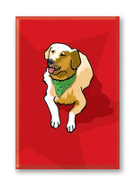 Magnet – Golden Retriever (7 Magnets) Thumbnail