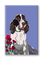 Magnet – Springer (2 Magnets) Thumbnail