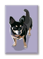 Magnet – Chihuahua (4 Magnets) Thumbnail