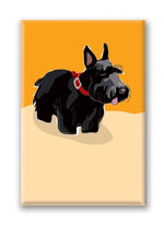 Magnet – Scottie (2 Magnets) Thumbnail