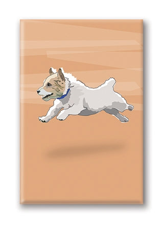 Magnet – Jack Russell (3 Magnets)