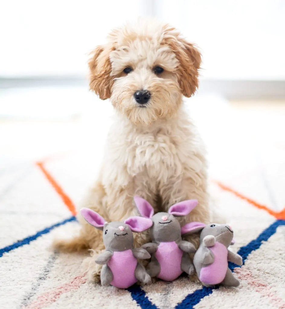 Stuffed Dog Toy - Mini Gray Purple Bunny
