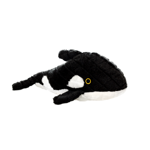 Stuffed Dog Toy - Whale