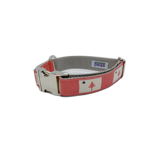 1” Ribbon Dog Collar – 1820/1901 Maine Flag, Pink