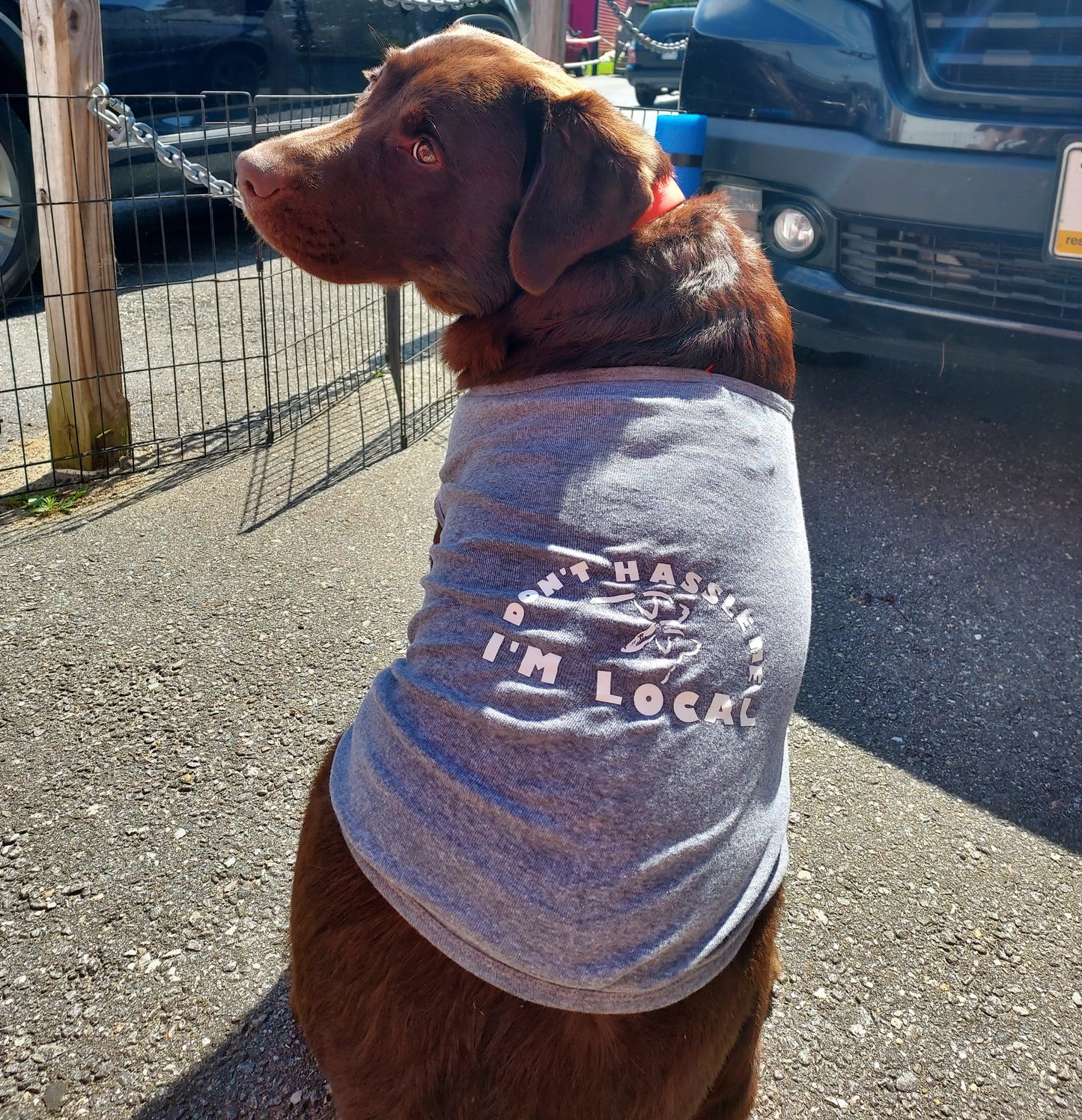 Doggie T-Shirt - Don't Hassle Me
