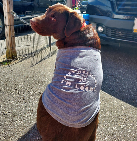 Doggie T-Shirt - Don't Hassle Me
