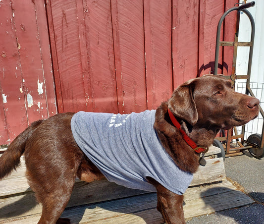 Doggie T-Shirt - Two Salty Dogs Logo