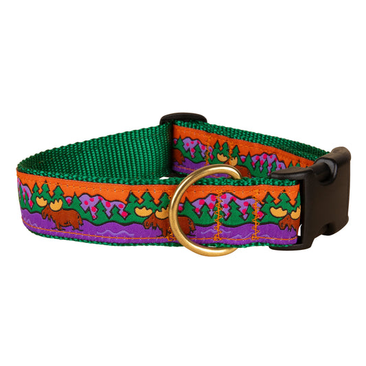 1.25” Ribbon Dog Collar – Moose on Green
