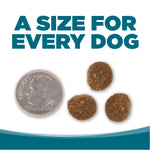 NutriSource Dry Dog Food - Chicken & Rice Thumbnail