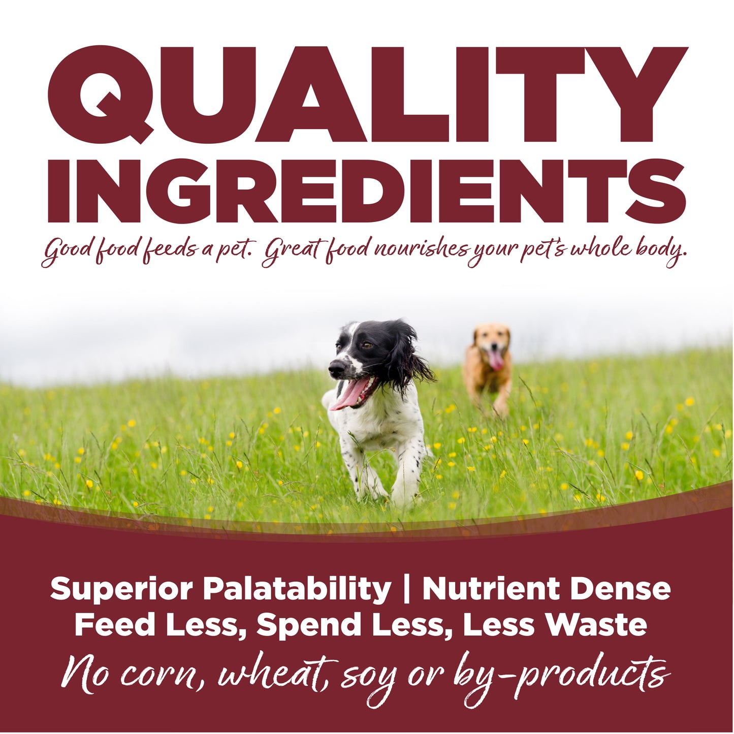 NutriSource Dry Dog Food - Beef & Rice