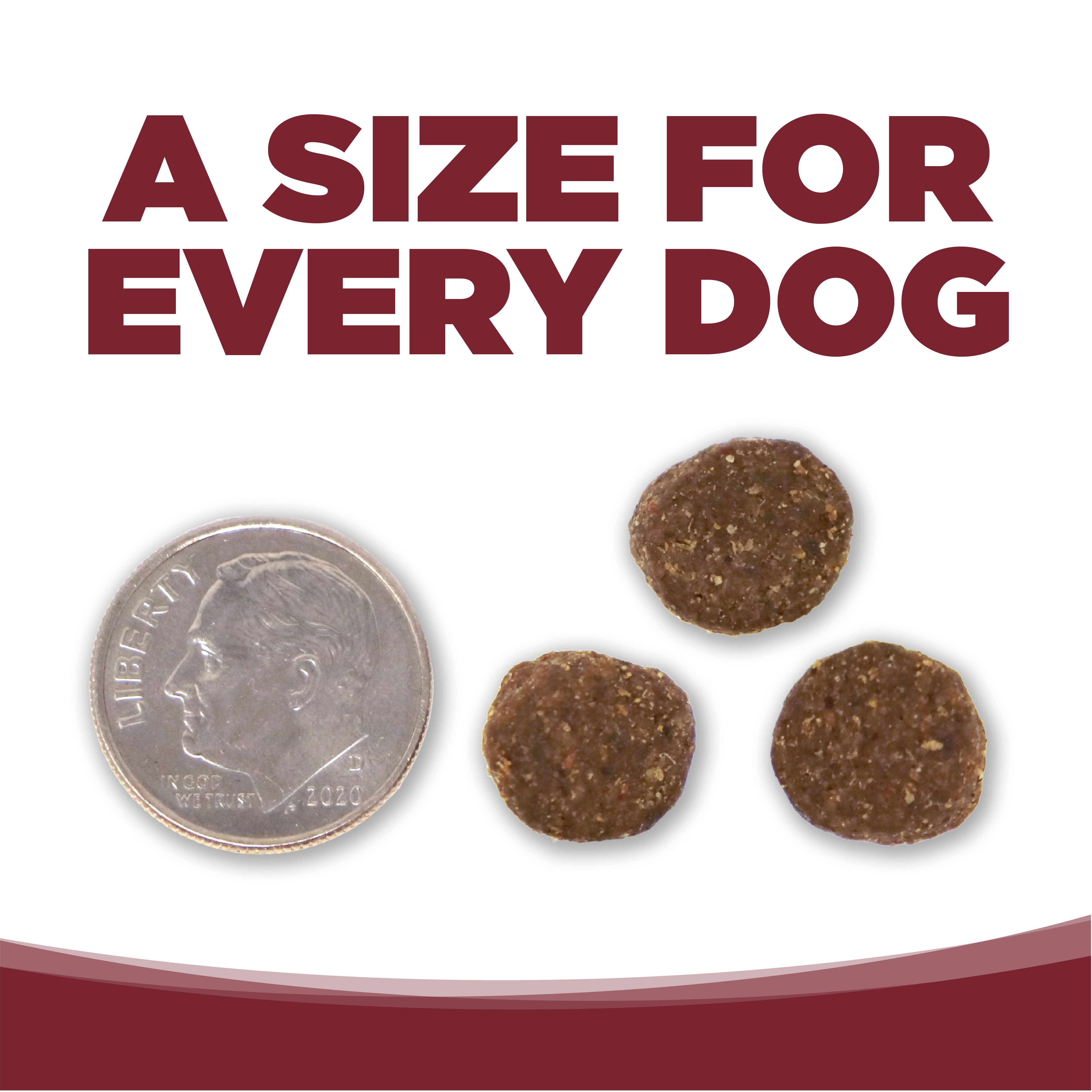 NutriSource Dry Dog Food - Beef & Rice