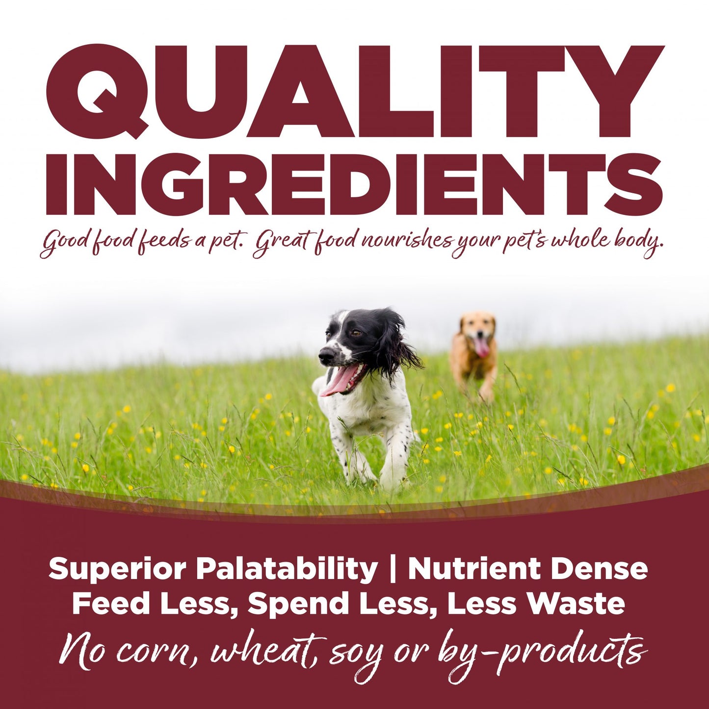 Nutrisource Wet Dog Food – Beef and Rice – 13oz