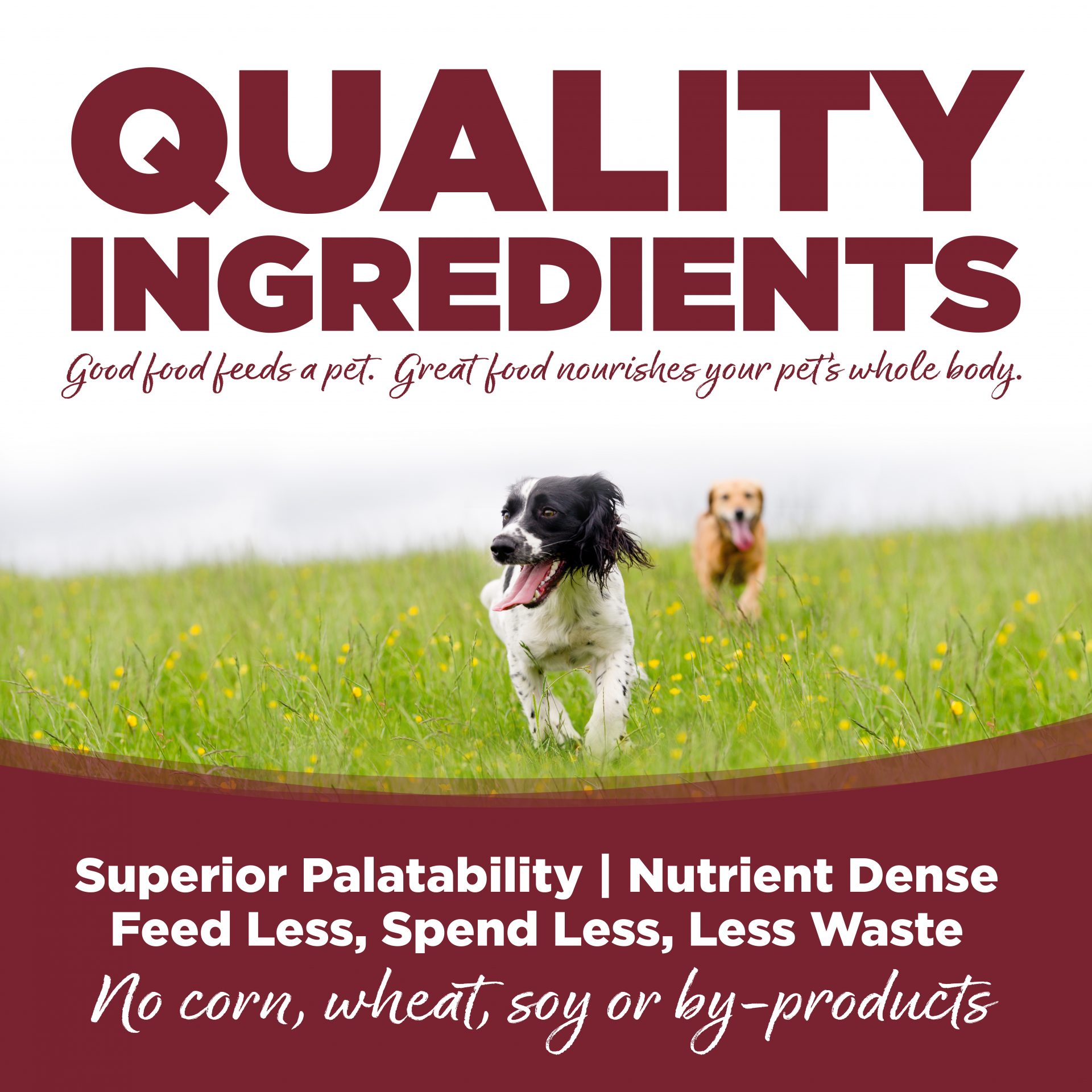 Nutrisource Wet Dog Food – Beef and Rice – 13oz