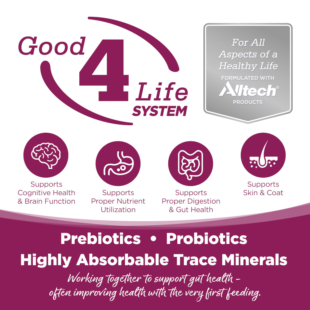 Nutrisource Dry Cat Food - Cat and Kitten