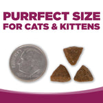 Nutrisource Dry Cat Food - Cat and Kitten Thumbnail