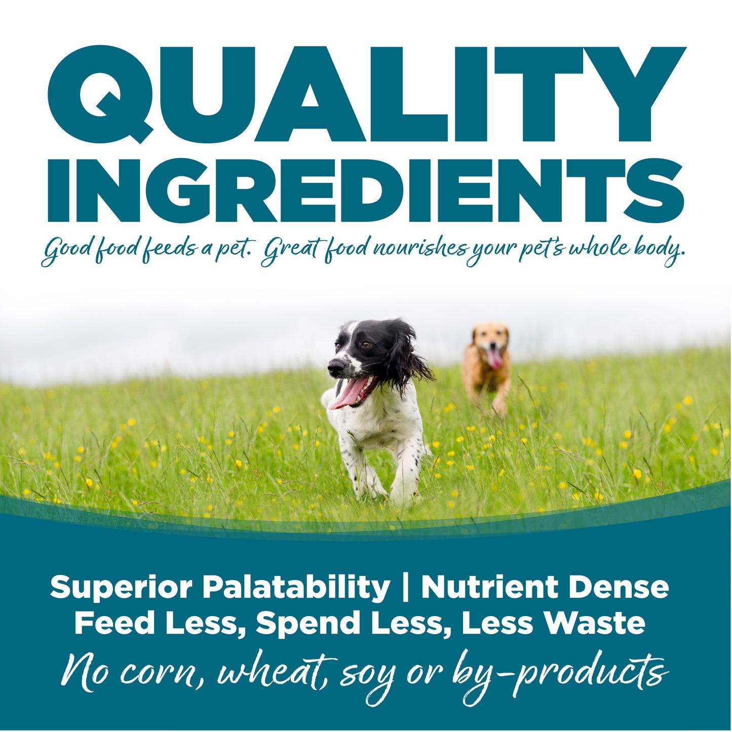 Nutrisource Wet Dog Food – Chicken and Rice – 13oz