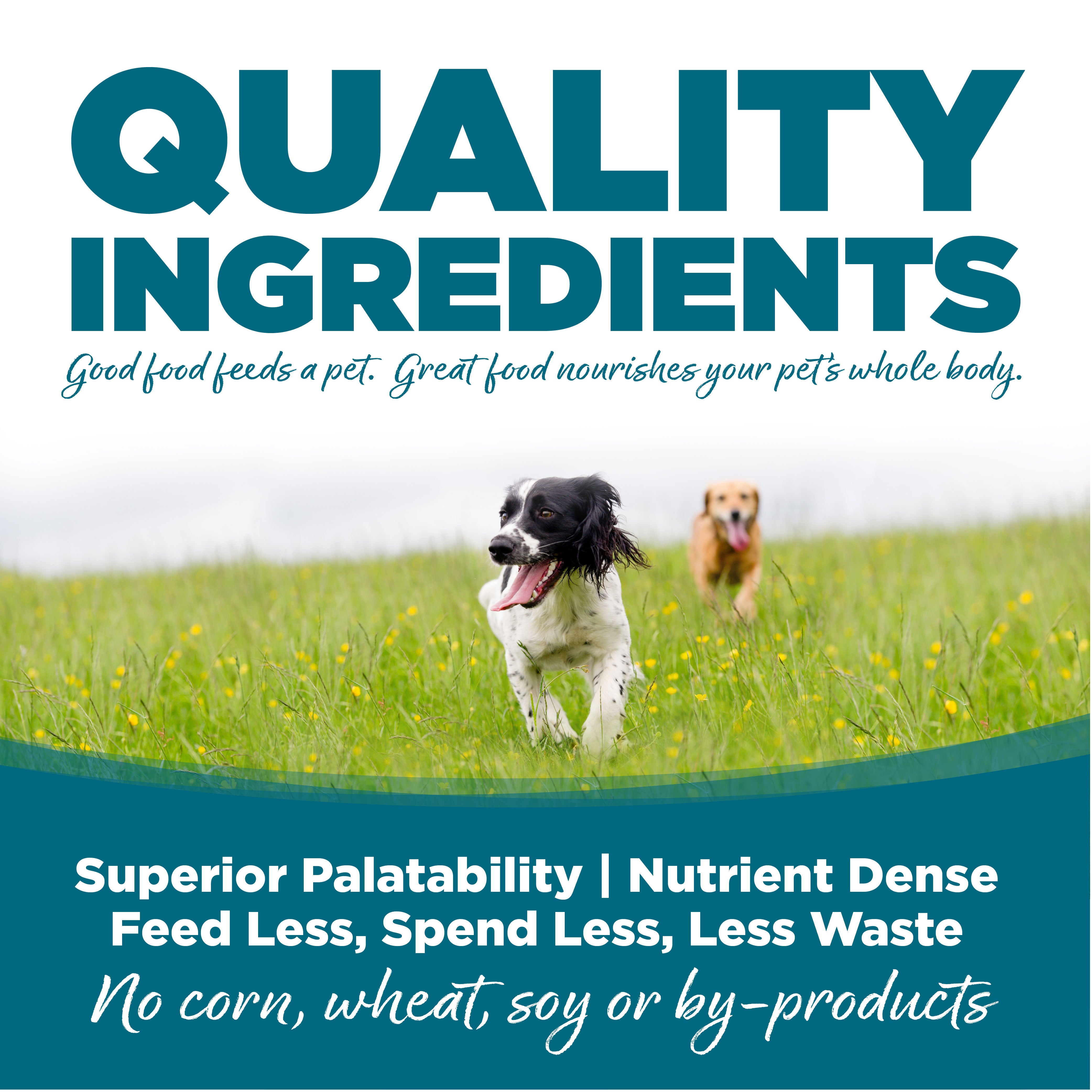 Nutrisource Wet Dog Food – Chicken and Rice – 13oz
