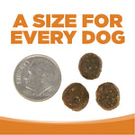 NutriSource Dry Dog Food - Grain Free Lamb Meal and Peas - 4lb Thumbnail