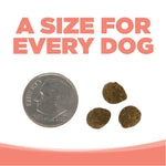 NutriSource Dry Dog Food - Grain Free Seafood Select - 5lb Thumbnail