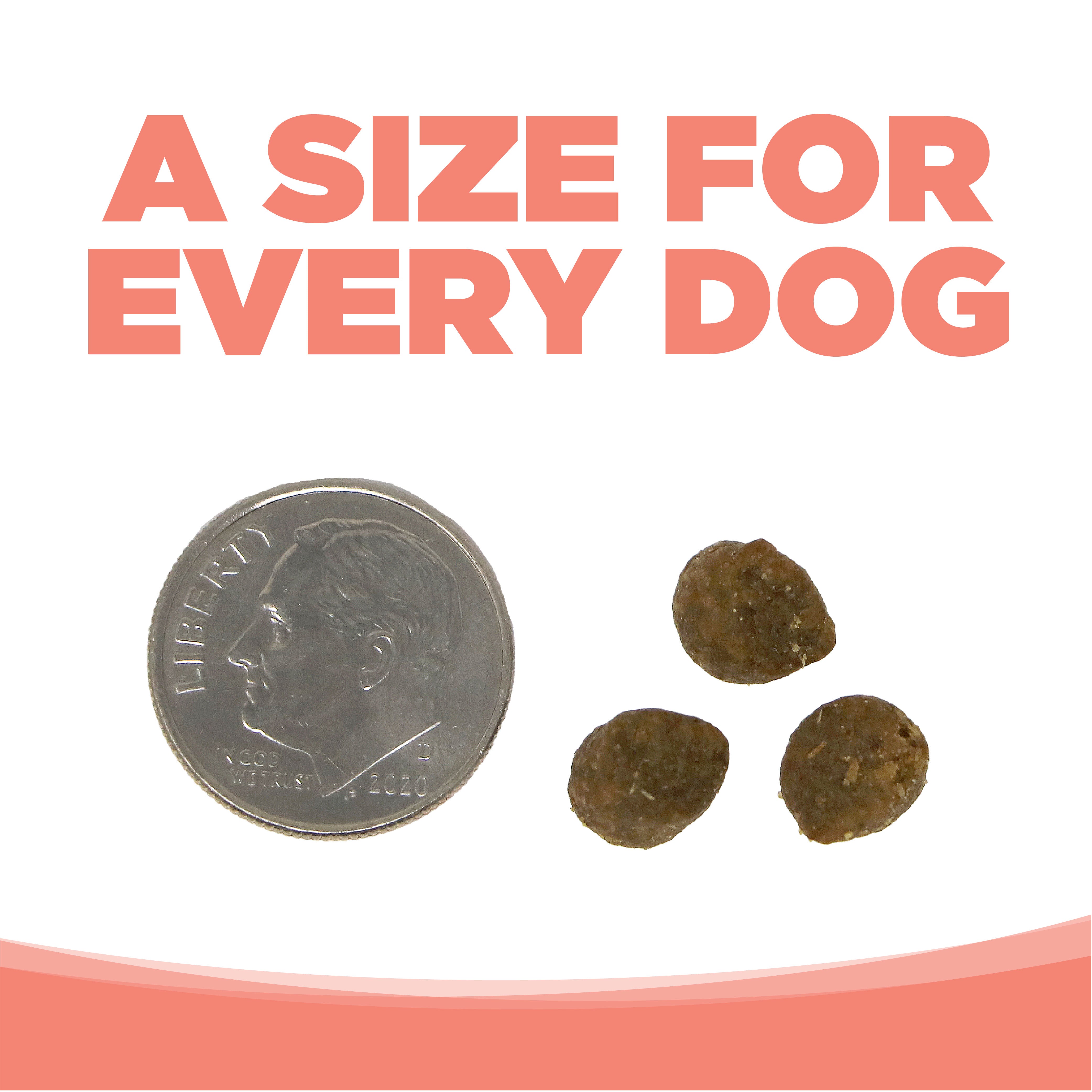 NutriSource Dry Dog Food - Grain Free Seafood Select - 5lb