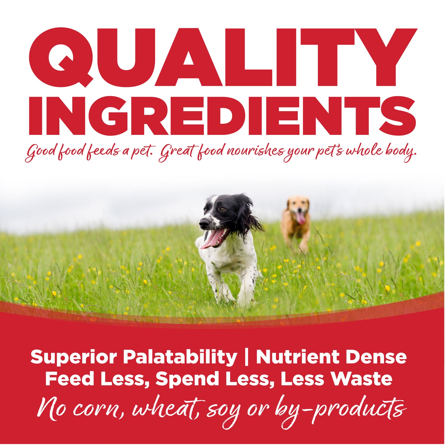 NutriSource Dry Dog Food - Beef & Rice - Large Breed - 26lb