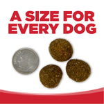 NutriSource Dry Dog Food - Beef & Rice - Large Breed - 26lb Thumbnail