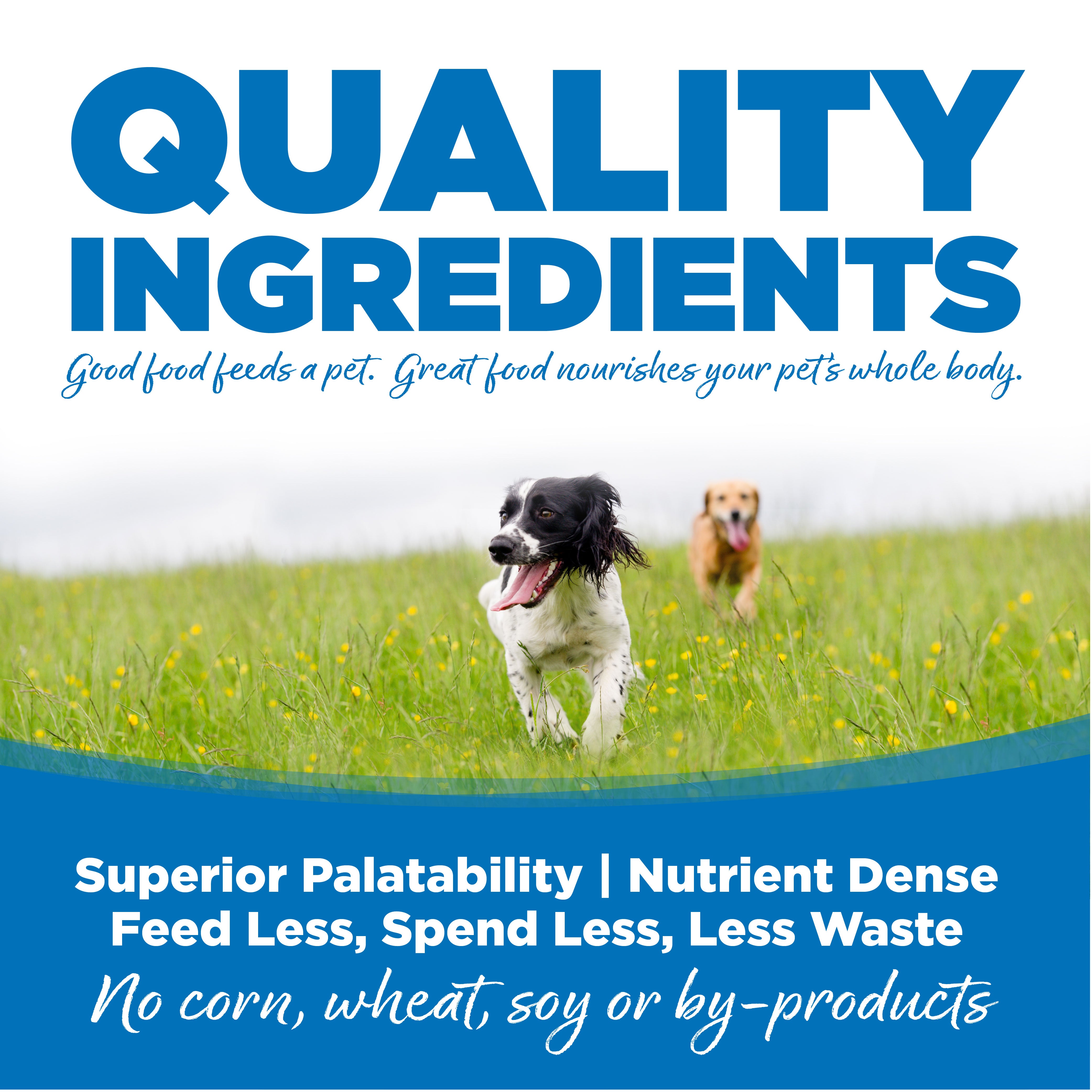 NutriSource Dry Dog Food - Chicken & Rice - Large Breed - 26lb