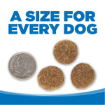 NutriSource Dry Dog Food - Chicken & Rice - Large Breed - 26lb Thumbnail