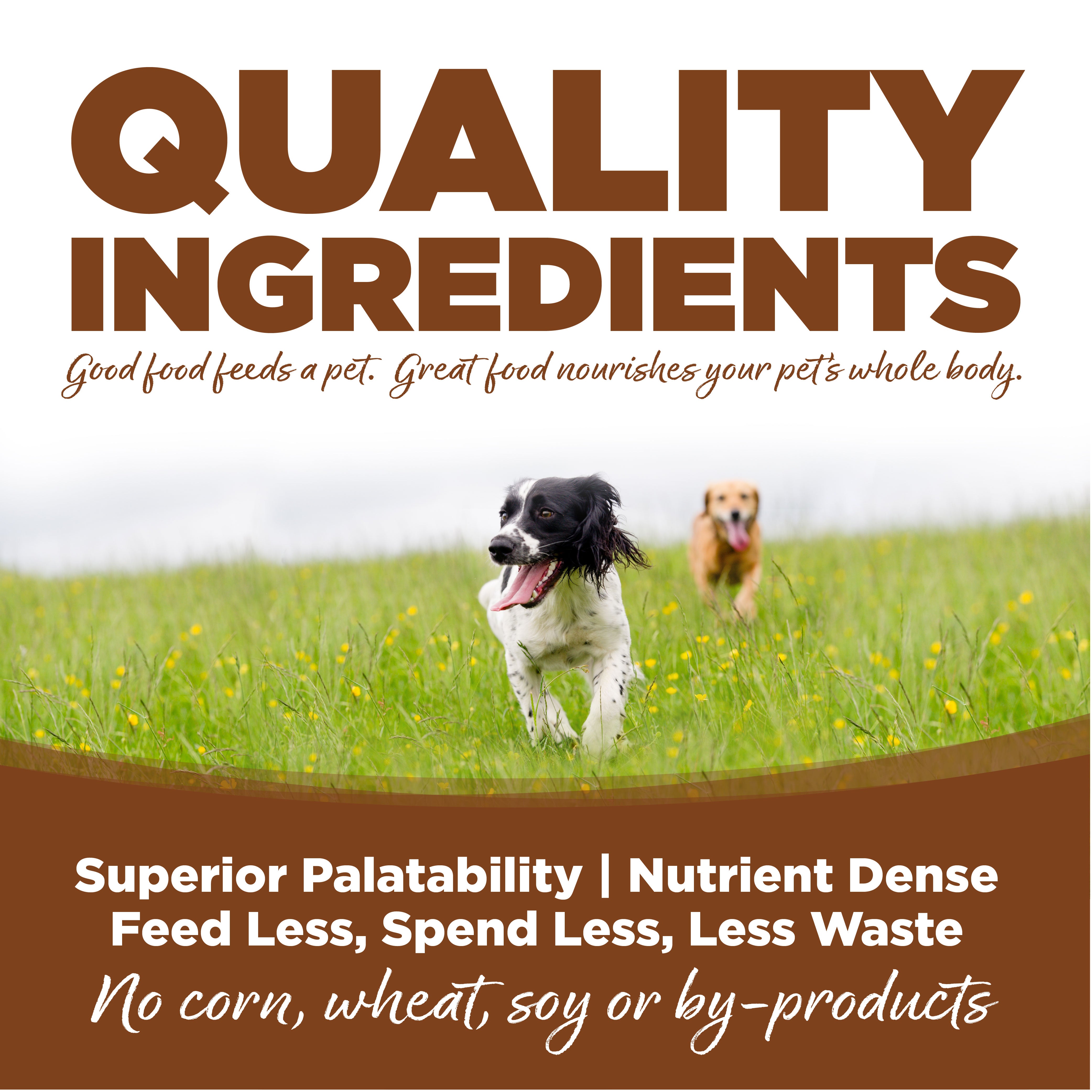 NutriSource Dry Dog Food - Lamb & Rice - Large Breed - 26lb